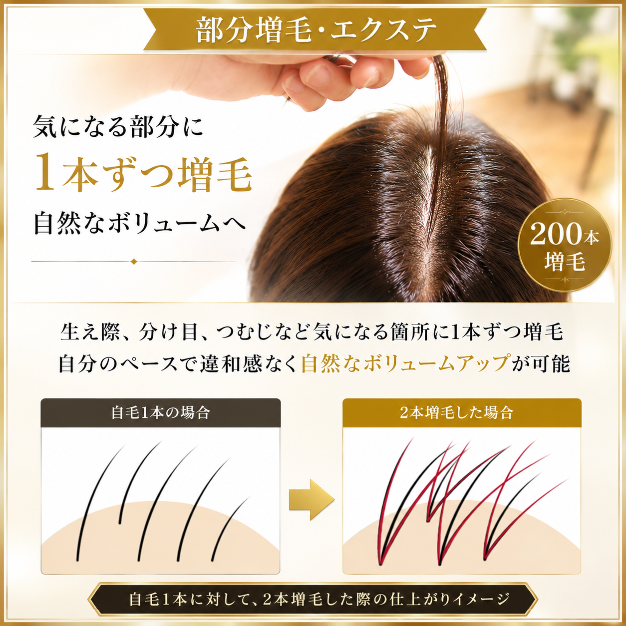 『少し』をお求めの方の部分増毛